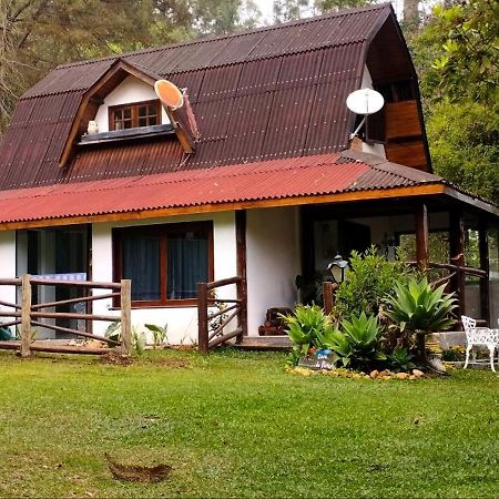 Casa Na Floresta Em Campos Do Jordao Villa Luaran gambar