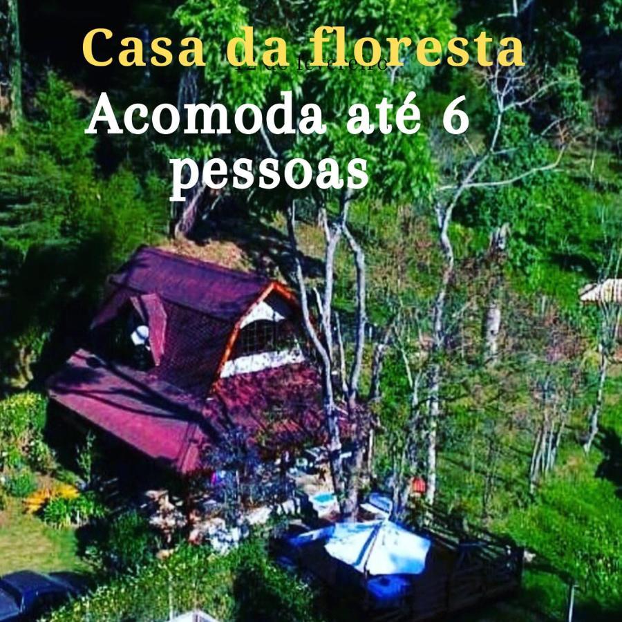 Casa Na Floresta Em Campos Do Jordao Villa Luaran gambar