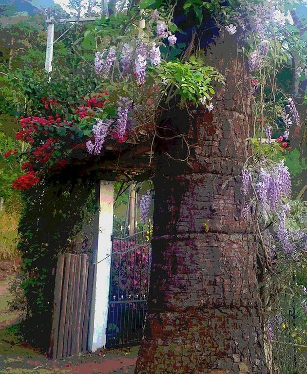 Casa Na Floresta Em Campos Do Jordao Villa Luaran gambar