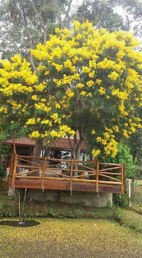 Casa Na Floresta Em Campos Do Jordao Villa Luaran gambar