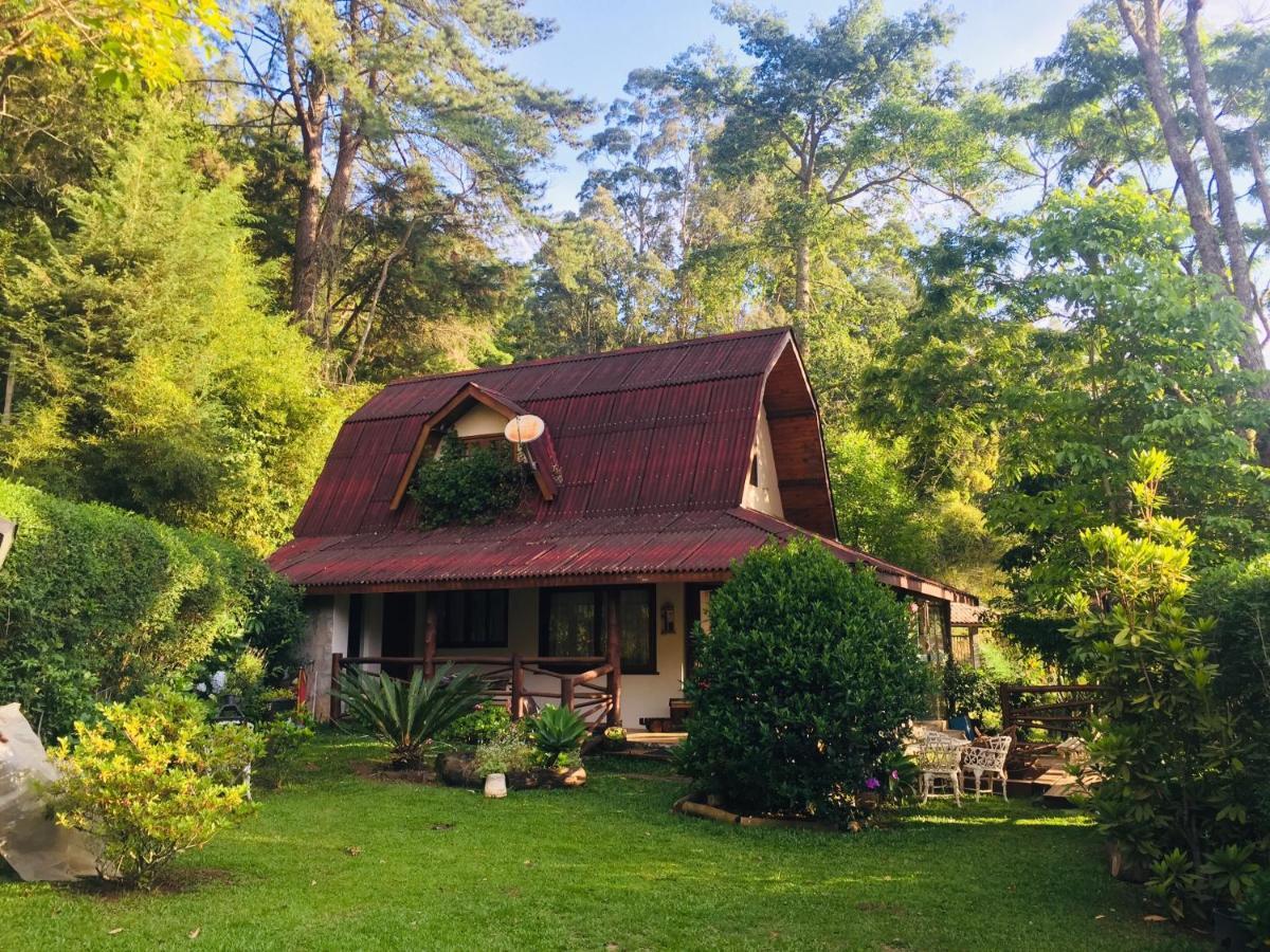 Casa Na Floresta Em Campos Do Jordao Villa Luaran gambar